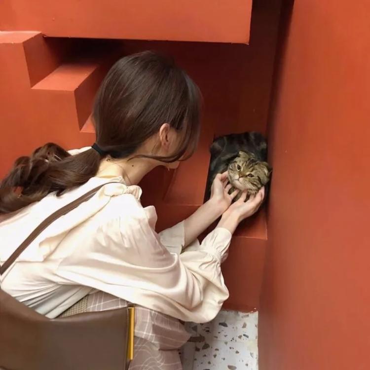 高荷惠（身份：会津女医生、曾被武田观柳禁锢制鸦片） - 游戏直播实时在线观看 - 小程序看视频